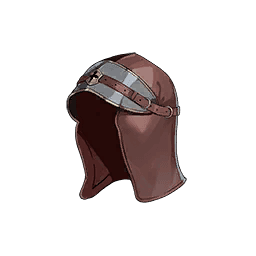 Helmet