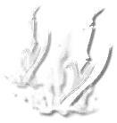 Frost Gazer