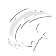 Basic Attack