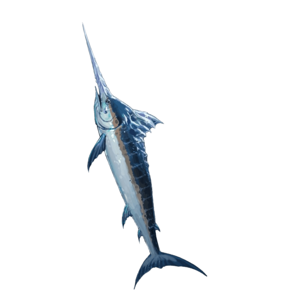 Secured Marlin Surfboard